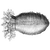 Chakshu Software Creation