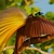 farzeendev profile image